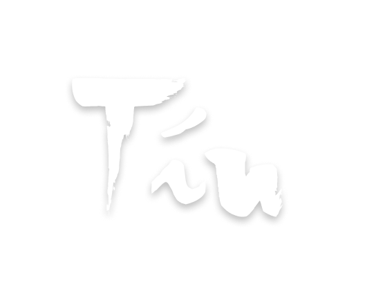 TÍN